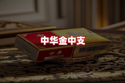 中华金中支